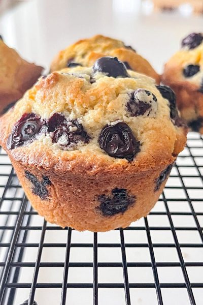 2-BLUEBERRY-MUFFIN